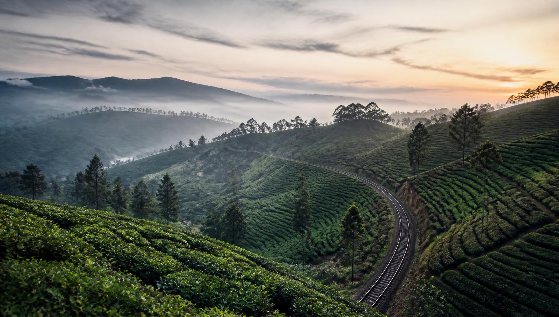 Ceylon Slow